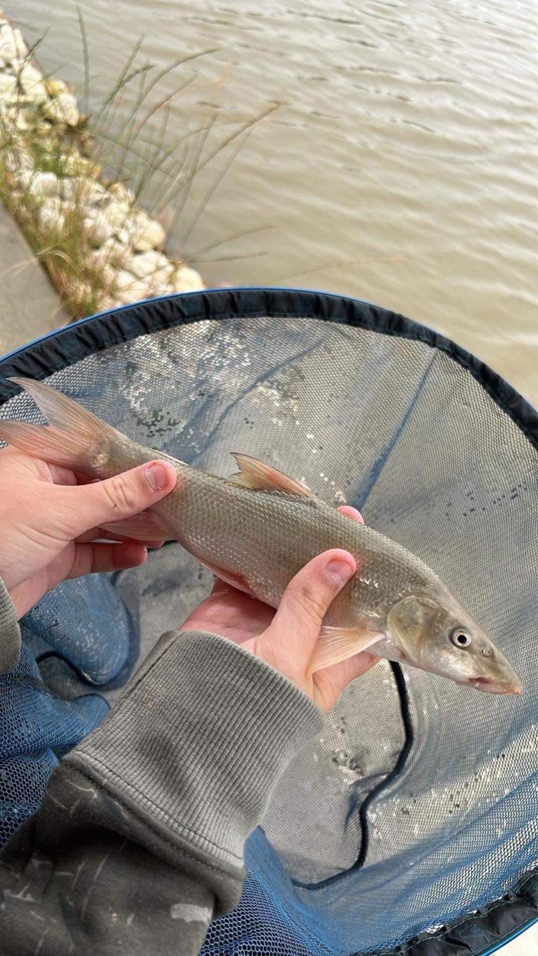 Lakeside Fishing Retreats Boston Room photo